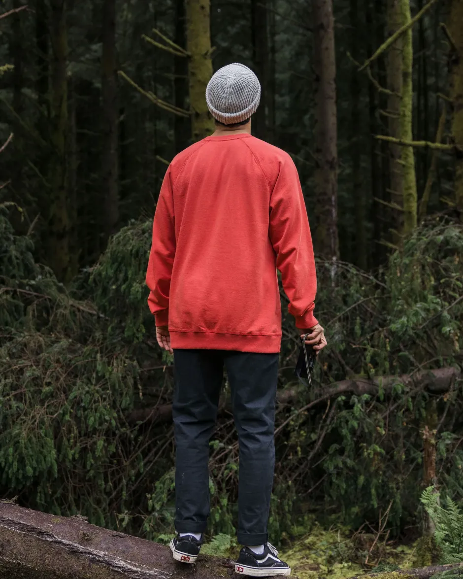 Hoodies & Sweatshirts|Best Sellers>Passenger Heritage Recycled Cotton Sweatshirt Cardinal