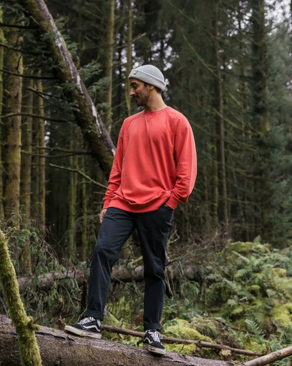 Hoodies & Sweatshirts|Best Sellers>Passenger Heritage Recycled Cotton Sweatshirt Cardinal